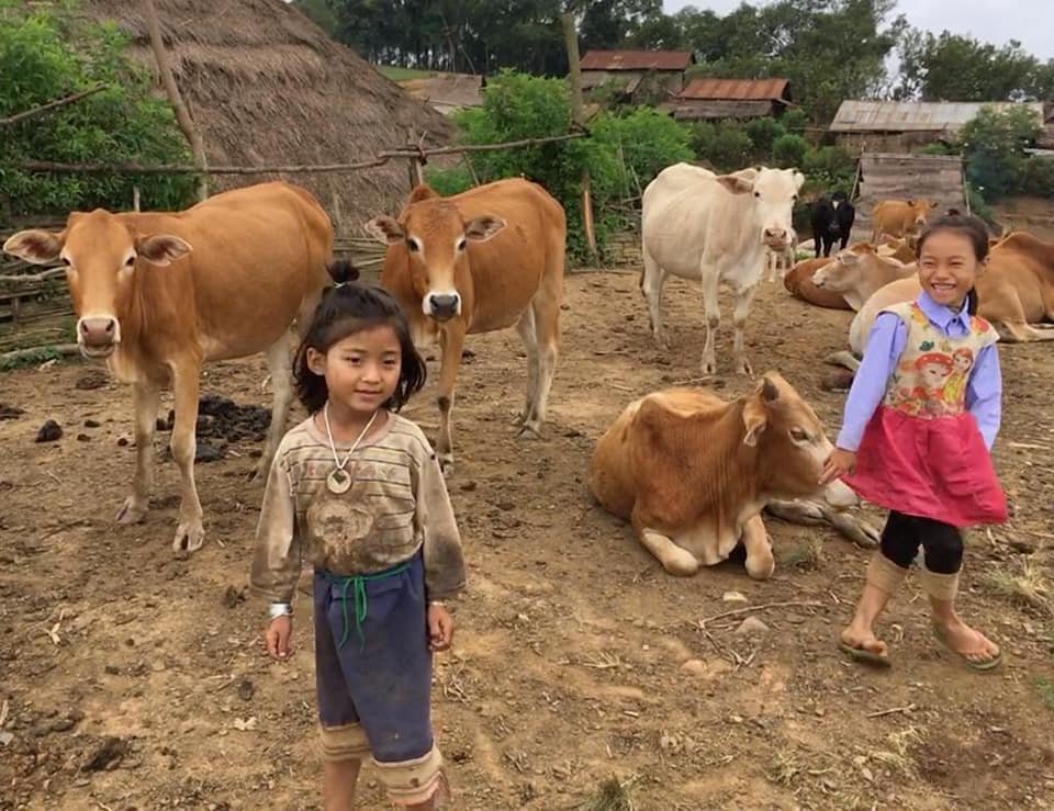 3 Days Phou Louey Mountain Summit Trekking Tour